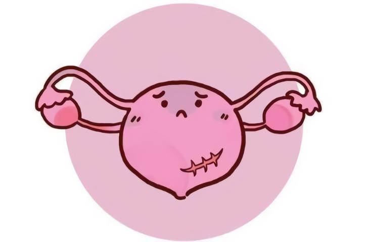 动漫世界中的分娩之旅，探索生命诞生的奇妙故事