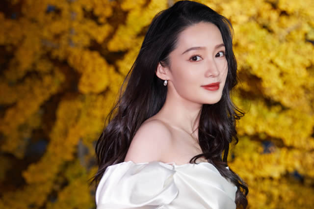 苏的明星璀璨之路，梦想之光照亮前程