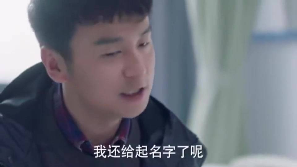 男保姆电影，情感与力量的展现与交织