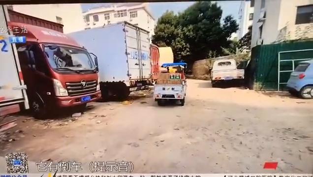 沧州青城最新动态，城市脉搏持续跳动的新篇章