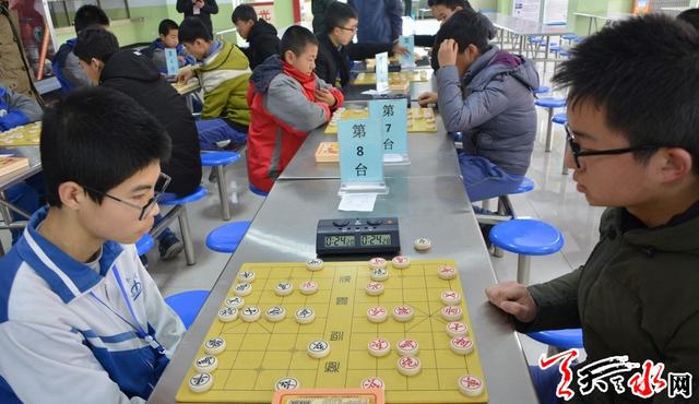 学校象棋比赛，智慧与策略的较量盛宴