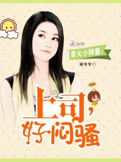 辣妻新章节揭秘，情感与生活的激烈碰撞！