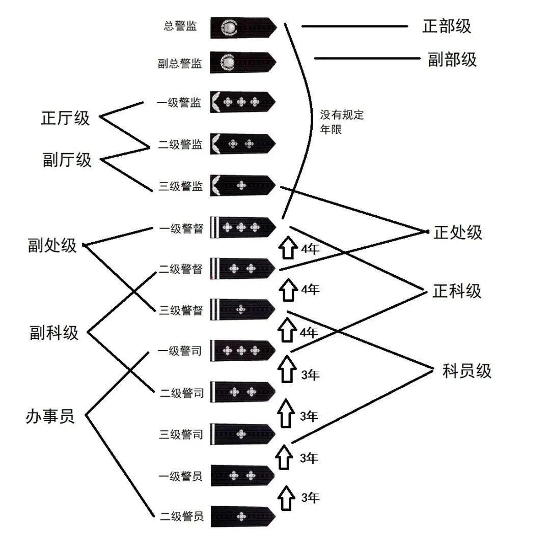 公安职级并行动态更新，塑造高效灵活的现代警务新模式