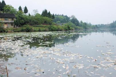 山门寺水库垂钓探索，自然之美与垂钓乐趣的交融