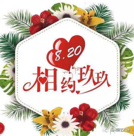 玖玖资源网最新，探索知识海洋的新航标门户