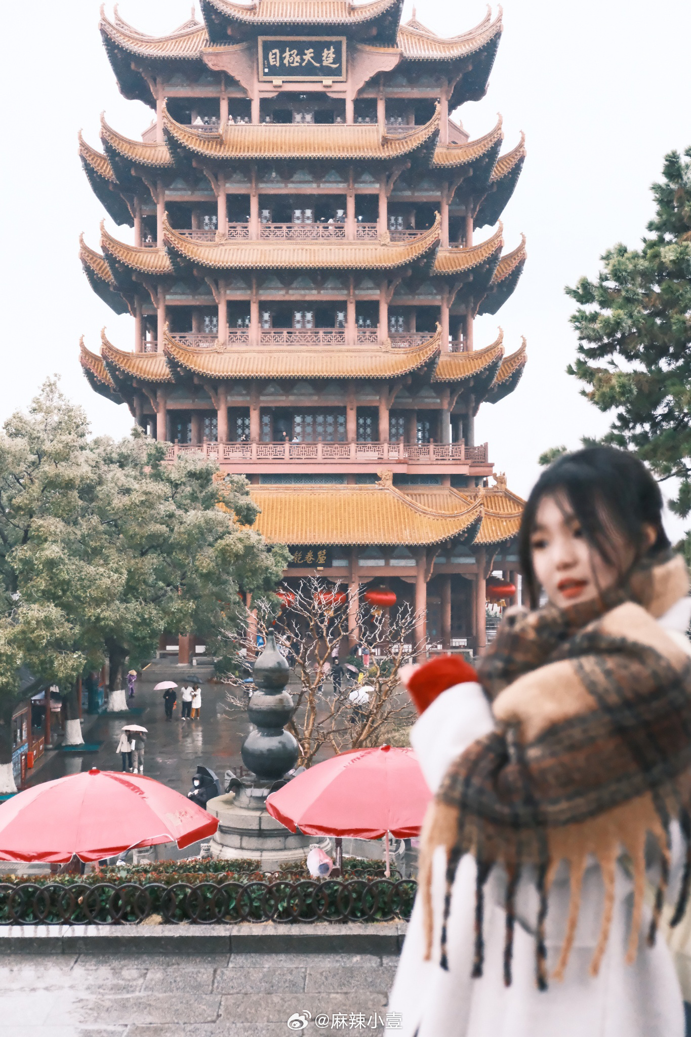 黄鹤楼最新，历史与现代的交融之美