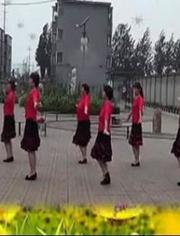 窦丽丽最新广场舞风潮，舞动人生的新篇章